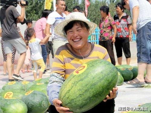 定州沙河吃瓜事件,一场网络热议背后的真相与反思