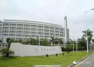 广州星海音乐学院明星,璀璨音符下的青春传奇