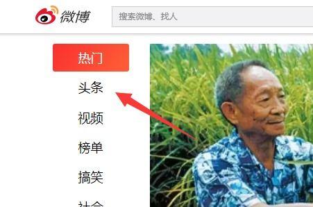 春天拍摄的头条文章,捕捉春天的美好瞬间