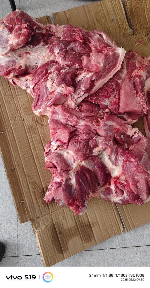 今日头条猪肉美食计划,探索今日头条特色猪肉菜谱攻略