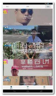 国内版头条如何看直播,揭秘热门直播背后的秘密与趋势