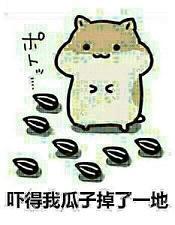 吃瓜表情包瓜掉了,吃瓜表情包背后的趣味瞬间