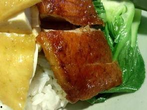今日头条深圳最好吃烧鹅,探寻最佳烧鹅风味之旅