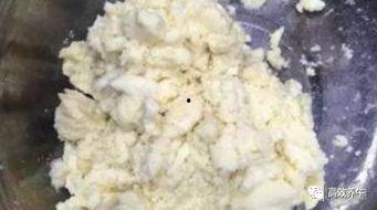 怎么看干料里都有什么物质,探寻其中奥秘的物质世界