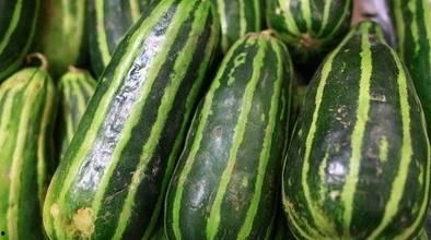 吃孕妇可以吃梢瓜吗