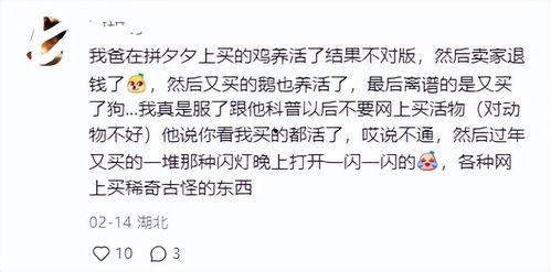 头条买的快递在哪里看,一键掌握快递动态，轻松追踪包裹位置！”