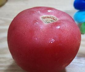 明星如何减肥水果,水果瘦身攻略大揭秘