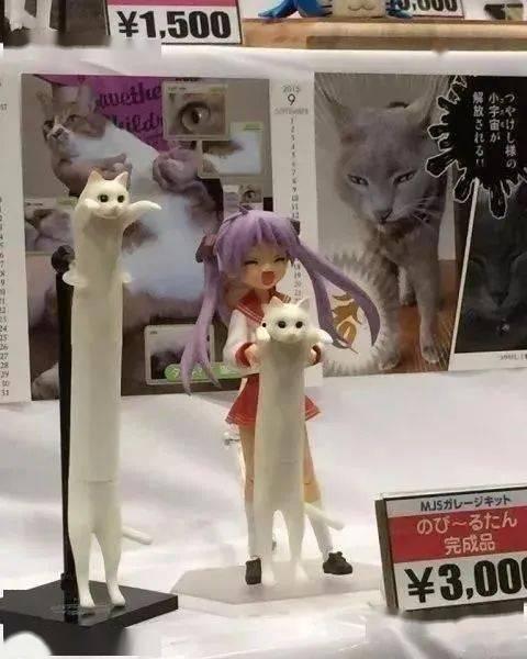 网红猫p图,萌态百变，魅力无限