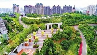 宜昌城东公园头条文章,绿色生态新地标，市民休闲好去处